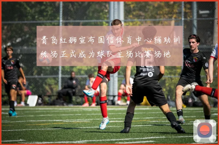 青岛红狮宣布国信体育中心辅助训练场正式成为球队主场比赛场地